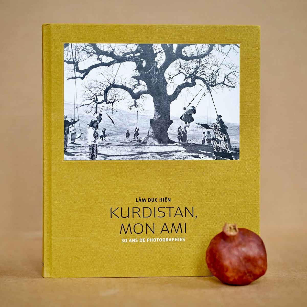 Kurdistan, mon ami