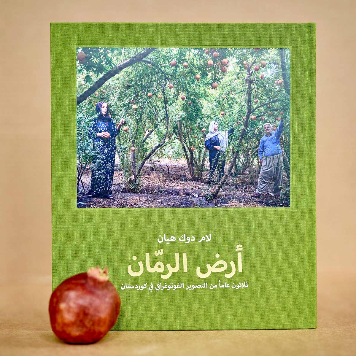 My beloved Kurdistan