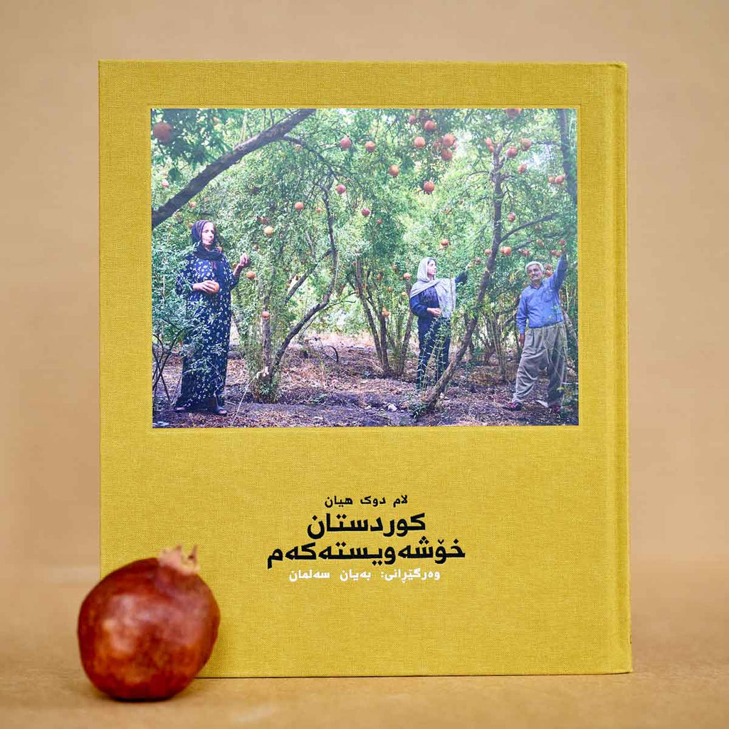 Kurdistan, mon ami
