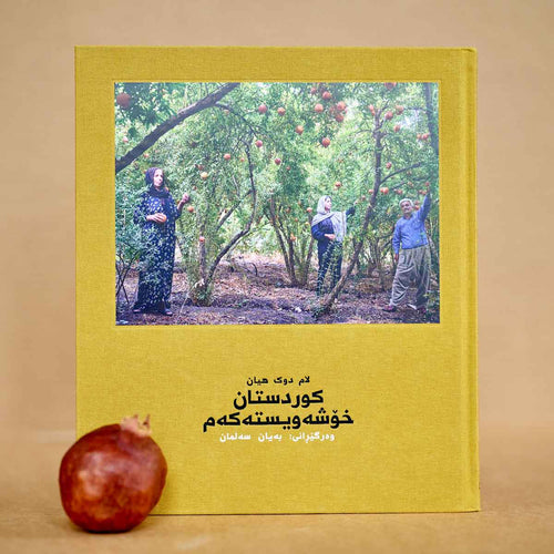 Kurdistan, mon ami